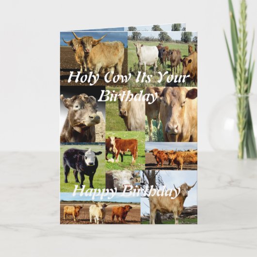 Carte Collage photo de vache, Anniversaire (Devant)