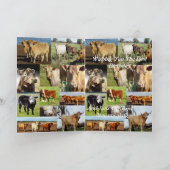 Carte Collage photo de vache, Anniversaire (Intérieur)