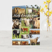 Carte Collage photo de vache, Anniversaire (Fleur jaune)