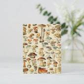 Carte Collection de champignons (Debout devant)