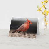 Carte Collection d'oiseaux : Cardinal du Nord (notes en (Fleur jaune)
