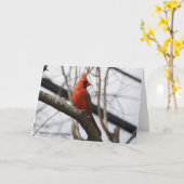 Carte Collection d'oiseaux : Cardinal du Nord (notes en  (Fleur jaune)