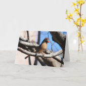 Carte Collection d'oiseaux : Cardinal du Nord (notes en  (Fleur jaune)