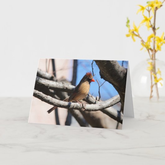 Carte Collection d'oiseaux : Cardinal du Nord (notes en  (Fleur jaune)
