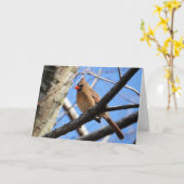 Carte Collection d'oiseaux : Cardinal du Nord (notes en  (Fleur jaune)