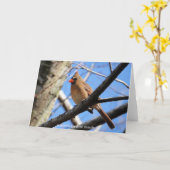 Carte Collection d'oiseaux : Cardinal du Nord (notes en (Fleur jaune)