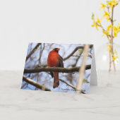 Carte Collection d'oiseaux : Cardinal rouge (notes vierg (Fleur jaune)