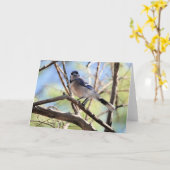 Carte Collection d'oiseaux : Jay bleu (notes en blanc) (Fleur jaune)