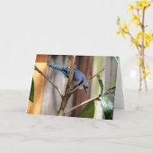 Carte Collection d'oiseaux : Jay bleu (notes en blanc) (Fleur jaune)