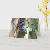 Carte Collection d'oiseaux : Jay bleu (notes en blanc) (Fleur jaune)