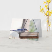 Carte Collection d'oiseaux : Jay bleu (notes en blanc) (Fleur jaune)