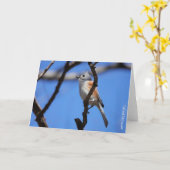 Carte Collection d'oiseaux : mésange à crête (notes vier (Fleur jaune)
