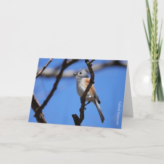 Carte Collection d'oiseaux : mésange à crête (notes vier (Devant)