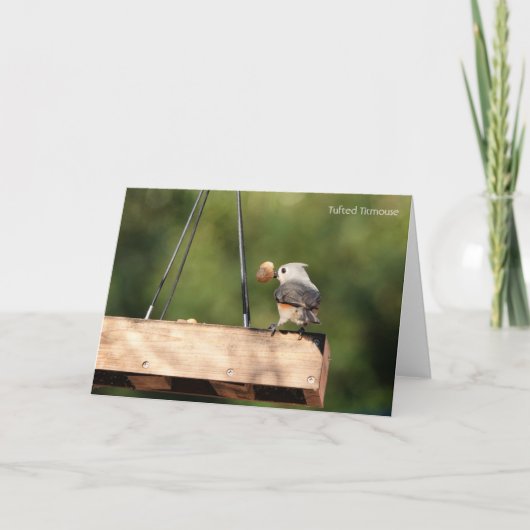 Carte Collection d'oiseaux : Mésange à tête noire (notes (Devant)
