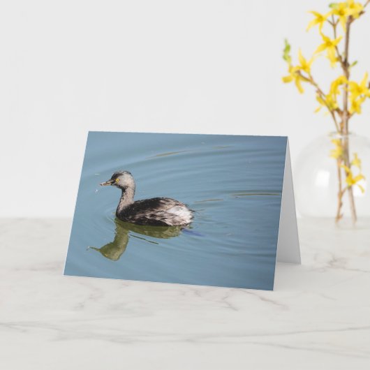 Carte Collection d'oiseaux : Petit Grebe (notes en blanc (Fleur jaune)