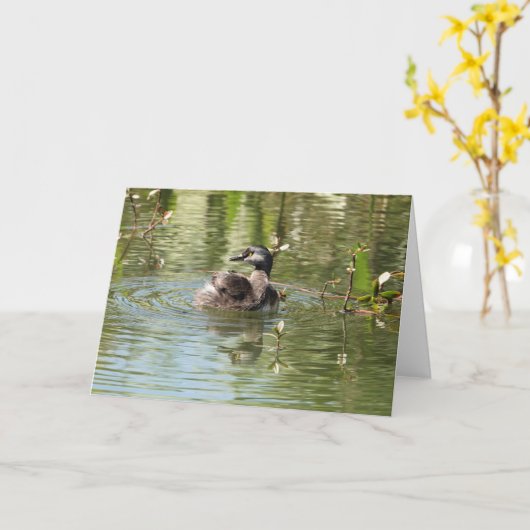 Carte Collection d'oiseaux : Petit Grebe (notes en blanc (Fleur jaune)