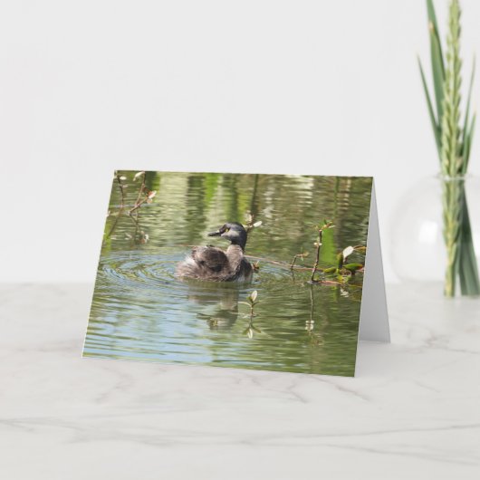 Carte Collection d'oiseaux : Petit Grebe (notes en blanc (Devant)