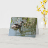 Carte Collection d'oiseaux : Petit Grebe (notes en blanc (Fleur jaune)