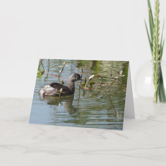 Carte Collection d'oiseaux : Petit Grebe (notes en blanc (Devant)