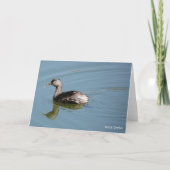 Carte Collection d'oiseaux : Petit Grebe (notes en blanc (Devant)