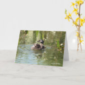 Carte Collection d'oiseaux : Petit Grebe (notes en blanc (Fleur jaune)