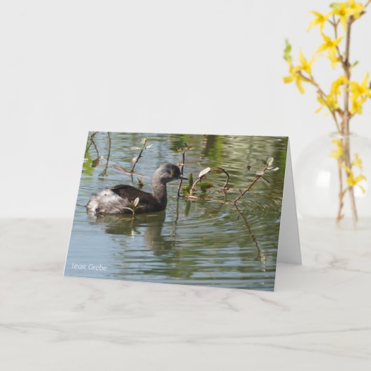 Carte Collection d'oiseaux : Petit Grebe (notes en blanc (Fleur jaune)