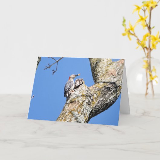 Carte Collection d'oiseaux : Pic (notes en blanc) (Fleur jaune)