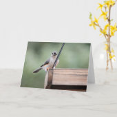 Carte Collection d'oiseaux : souris à pointes (notes vid (Fleur jaune)