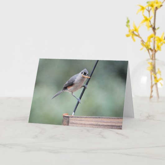 Carte Collection d'oiseaux : souris à pointes (notes vid (Fleur jaune)