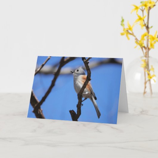 Carte Collection d'oiseaux : souris à pointes (notes vid (Fleur jaune)