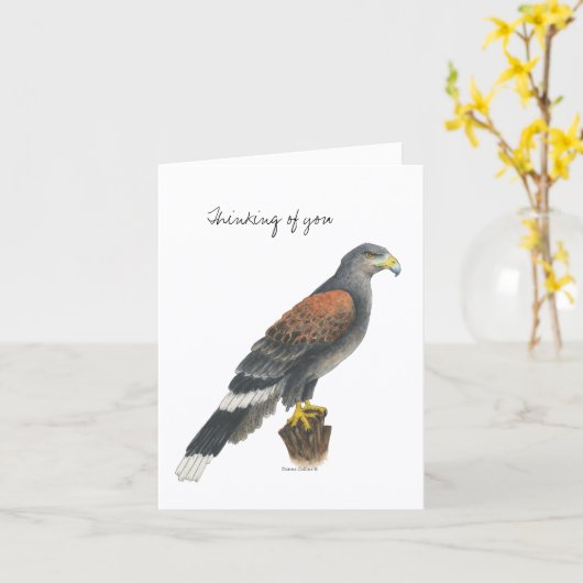 Carte Collection Falcon  Note Card (Fleur jaune)