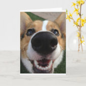 Carte Collection Welsh Corgi Chien Nose (Fleur jaune)