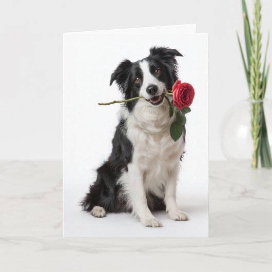 Carte Collie de Border Saint-Valentin (Devant)