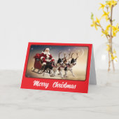 Carte Collie de frontière drôle de Noël (Fleur jaune)