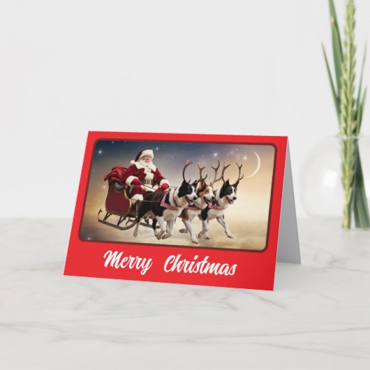 Carte Collie de frontière drôle de Noël (Devant)