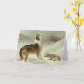 Carte Collie et mouton (Fleur jaune)