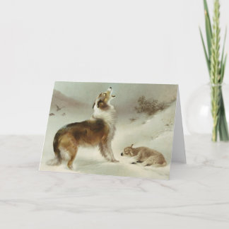 Carte Collie et mouton