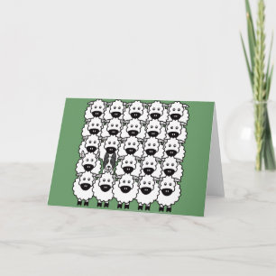 Carte Collie frontalière lisse dans le mouton
