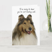 Carte Collie Get Well Card (Devant)