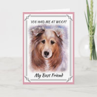 COLLIE GORGEUSE
