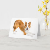 Carte Collie Notecard (Fleur jaune)