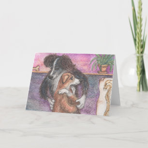 Carte Collie-praticien, chiropracteur Border Collie Blan