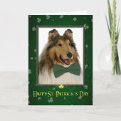 Carte Collie St. Patrick's Card (Devant)