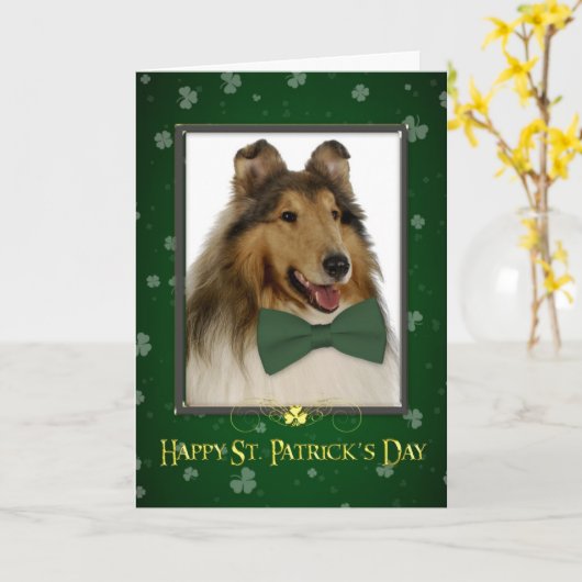 Carte Collie St. Patrick's Card (Fleur jaune)
