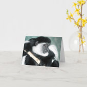 Carte Colobus Ricci (Fleur jaune)