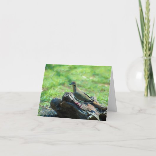 Carte Colombe à ailes par blanc (Devant)