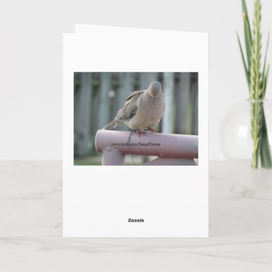 Carte Colombe de prière (Dos)