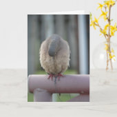 Carte Colombe de prière (Fleur jaune)