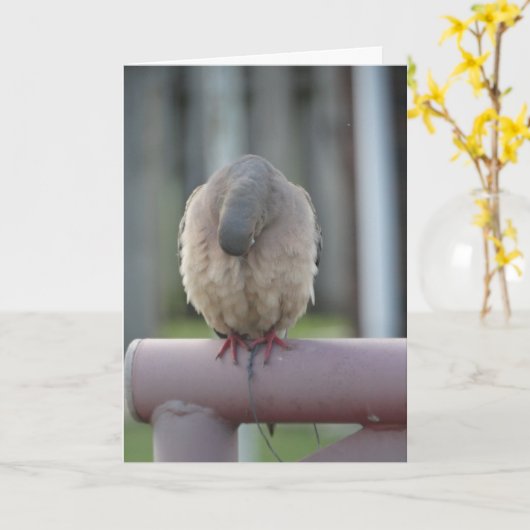 Carte Colombe de prière (Fleur jaune)