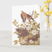 Carte Colombe de tortue de la Caroline d'Audubon (Fleur jaune)